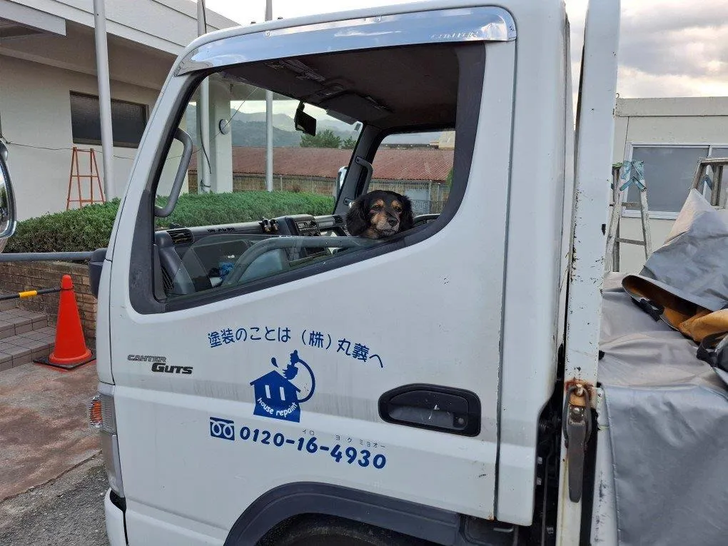 愛犬ネロも現場入り